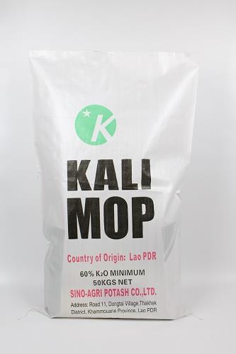 Fabricant de sac sacs exporté presse offset  sacs en plastique polypropylène PP sacs tissé stratifié film tissé impression coloré haute qualité vente chaude